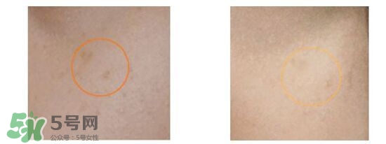 資生堂悅薇和新透白哪個(gè)好？資生堂悅薇和新透白對(duì)比