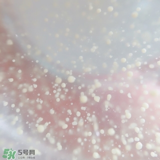 資生堂悅薇和怡麗絲爾哪個(gè)好？資生堂悅薇和怡麗絲爾對(duì)比