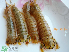 蝦爬子能放多久？蝦爬子怎么保存時間長？