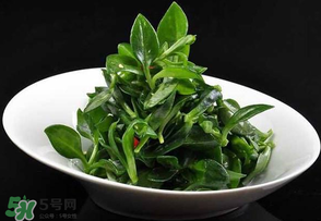 冰草是田七嗎？冰草和田七一樣嗎？