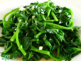 穿心蓮和田七一樣嗎？穿心蓮與田七的區(qū)別