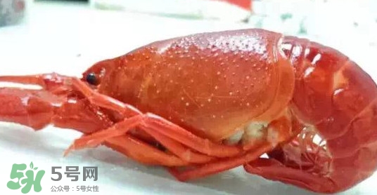 蝦子哪些部位不能吃？蝦子哪些地方不能吃