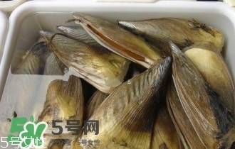 青口貝如何清洗？青口貝怎么處理