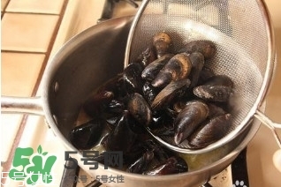 青口貝如何清洗？青口貝怎么處理