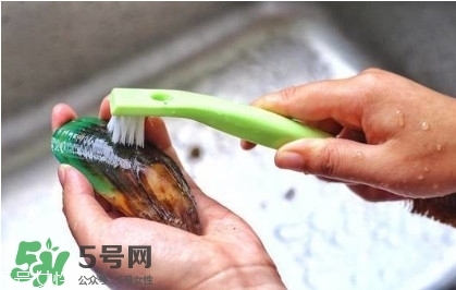 青口貝如何清洗？青口貝怎么處理