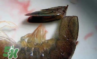 油燜大蝦怎么洗？油燜大蝦怎么清洗