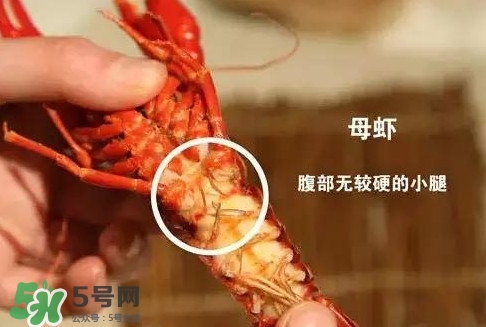 蝦子怎么吃？蝦子的吃法