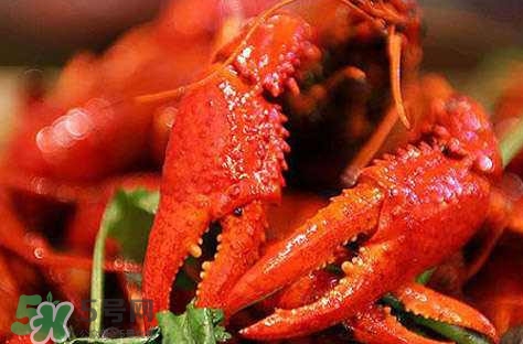 蝦子有什么營養(yǎng)？蝦子有什么營養(yǎng)價(jià)值