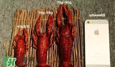 蝦子怎么吃？蝦子的吃法