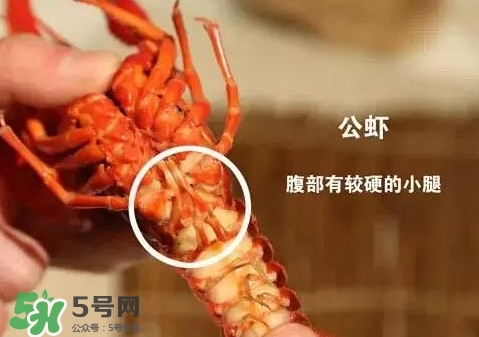 蝦子怎么吃？蝦子的吃法