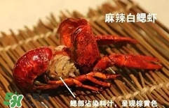 蝦子怎么吃？蝦子的吃法