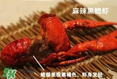 蝦子怎么吃？蝦子的吃法