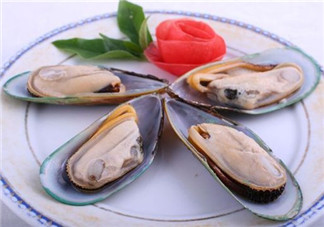 青口貝能生吃嗎？青口貝能多吃嗎
