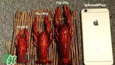 蝦子怎么吃？蝦子的吃法