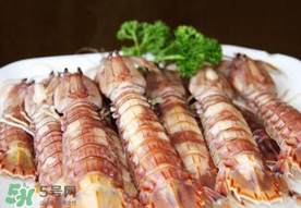 蝦爬子是寒性的嗎？蝦爬子是熱性的還是寒性的？