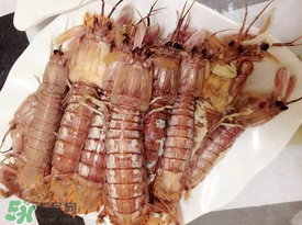 蝦爬子是皮皮蝦嗎？皮皮蝦和蝦爬子的區(qū)別