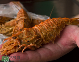 蝦爬子是皮皮蝦嗎？皮皮蝦和蝦爬子的區(qū)別