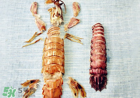 蝦爬子有黃嗎？蝦爬子黃營養(yǎng)價(jià)值