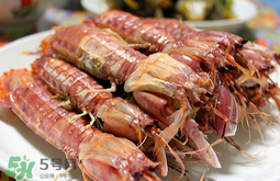 蝦爬子怎么分公母？蝦爬子公母區(qū)別