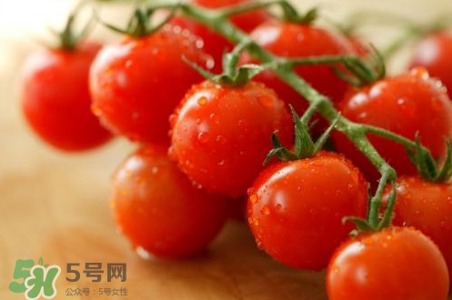 圣女果為什么叫圣女果？圣女果名字的由來