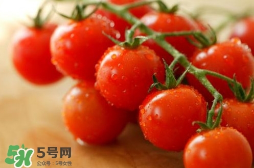 小番茄是轉基因的嗎？小番茄是不是轉基因食品