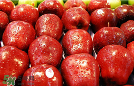 吃完皮皮蝦能吃蘋果嗎？皮皮蝦和蘋果能一起吃嗎？