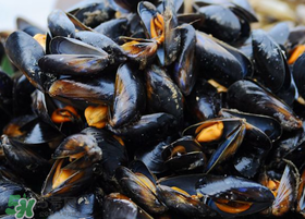 海虹里面的黑包能吃嗎？海虹里面的黑的能吃嗎？