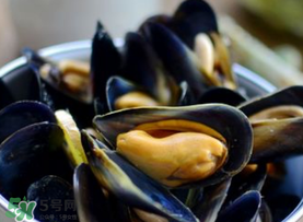 海虹里面的黑包能吃嗎？海虹里面的黑的能吃嗎？