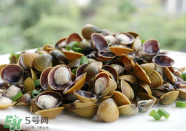 蜆子不能和什么一起吃？吃蜆子不能吃什么？