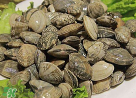 蜆子不能和什么一起吃？吃蜆子不能吃什么？