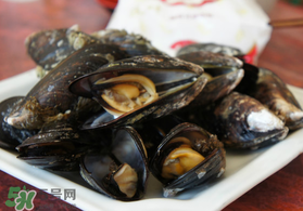 淡菜什么時候最肥？淡菜什么時候吃最好？