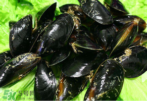 哪些人不適合吃淡菜？淡菜什么人不能吃？