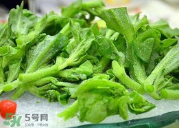 冰菜孕婦能吃嗎？孕婦能不能吃冰菜？