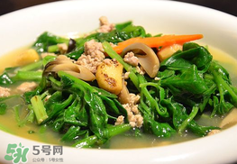 冰菜孕婦能吃嗎？孕婦能不能吃冰菜？