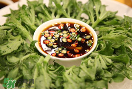 冰菜怎么涼拌？冰菜可以用沙拉醬拌嗎？