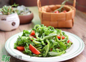 冰菜怎么涼拌？冰菜可以用沙拉醬拌嗎？