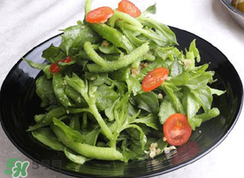 冰菜怎么涼拌？冰菜可以用沙拉醬拌嗎？