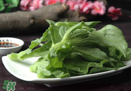 冰菜可以生吃嗎？冰菜能生吃嗎？