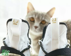 nike lebron 14怎么樣？耐克lebron 14測(cè)評(píng)