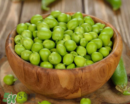 豌豆不能和什么一起吃？豌豆和什么不能一起吃？