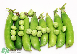 豌豆不能和什么一起吃？豌豆和什么不能一起吃？