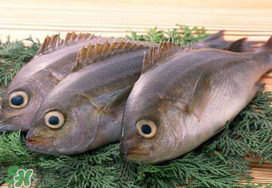 蠶豆和魚能一起吃嗎？蠶豆和魚吃相克嗎？