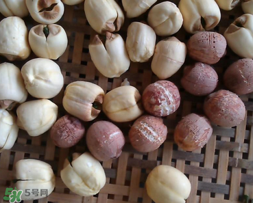 芡實(shí)不能和什么一起吃？芡實(shí)不能與什么同食？