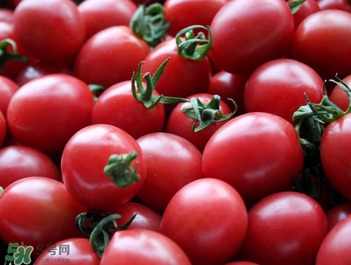 千禧果和圣女果的區(qū)別 千禧果和圣女果哪個(gè)好吃？