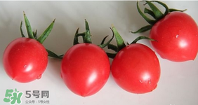 千禧果和圣女果的區(qū)別 千禧果和圣女果哪個(gè)好吃？