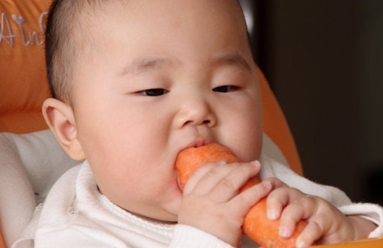 胡蘿卜與什么不能同食？胡蘿卜不能和什么一起吃