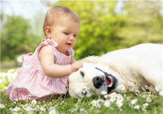 孩子不愿意分享是自私嗎？怎么幫孩子樹立分享意識(shí)？