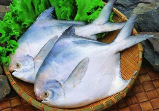 蠶豆和魚能一起吃嗎？蠶豆和魚吃相克嗎？