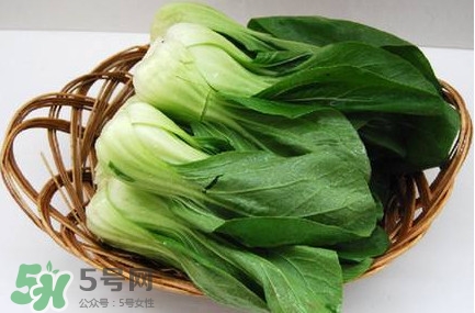 雞毛菜怎么種？雞毛菜的種植方法