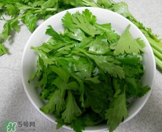 芹菜葉怎么吃？芹菜葉吃法